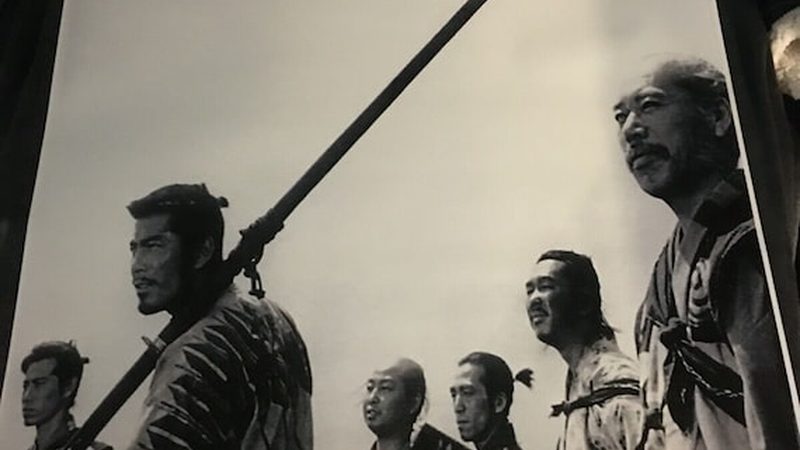 南方道路綠化常用喬木價(jià)格解析**