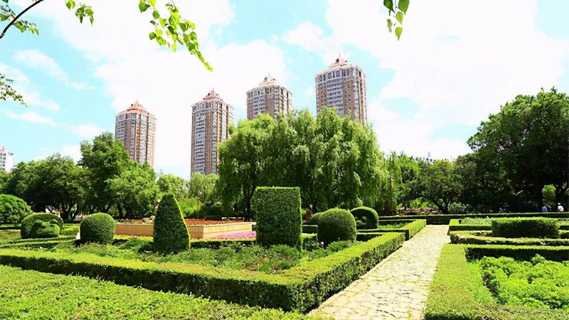 苗木種植報(bào)價(jià)單：如何科學(xué)制定？**