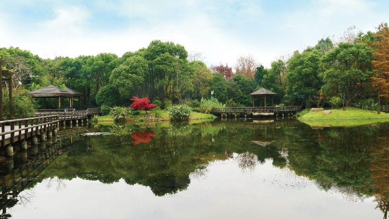 草坪鋪設(shè)：廠家直銷，價格透明背后的考量