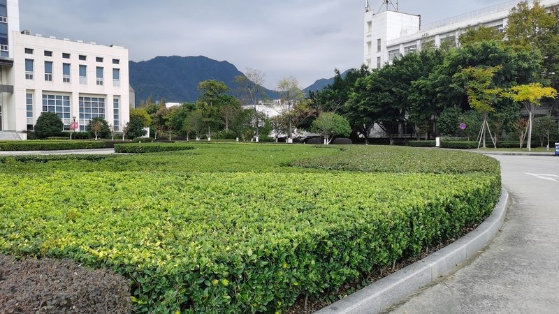 城市快速路綠化設計規(guī)范：標準解讀與實施要點