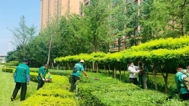 綠化養(yǎng)護(hù)與綠植租擺：經(jīng)營(yíng)范圍差異解析
