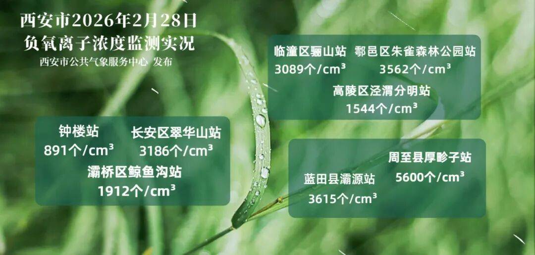 雨雪降溫齊登場(chǎng) 西安今明天氣“濕冷”唱主角:長(zhǎng)沙街頭綠地環(huán)境景觀設(shè)計(jì)費(fèi)用